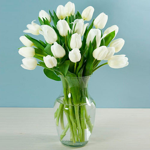 20 Tulipanes blancos. - La casita de las flores y regalos
