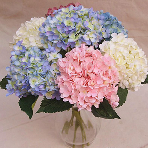 Hermosas Hortensias colores. Incluye florero. - La casita de las flores y  regalos