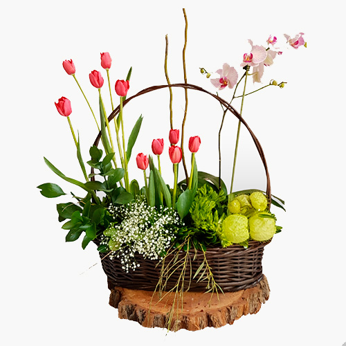 Arreglo Sorpesa II. Orquídea y Tulipanes. - La casita de las flores y  regalos