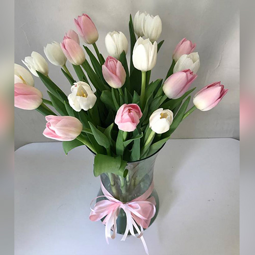 20 Tulipanes Rosas y blancos. - La casita de las flores y regalos