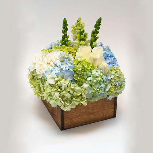 Hortensias blancas y azules en base madera. - La casita de las flores y  regalos