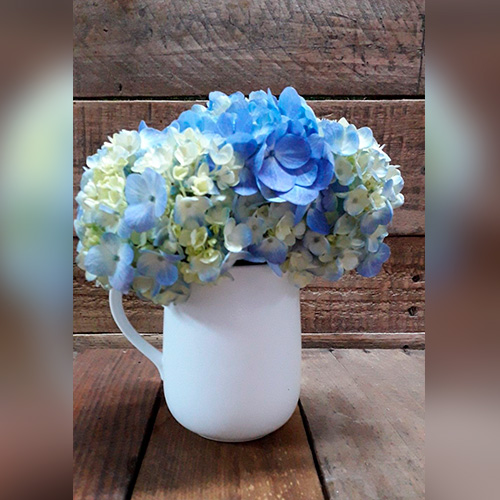 Hortensias azul y blanca en taza de cerámica. - La casita de las flores y  regalos