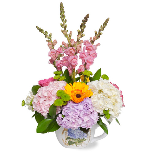 Hortensias colores en taza cerámica. - La casita de las flores y regalos